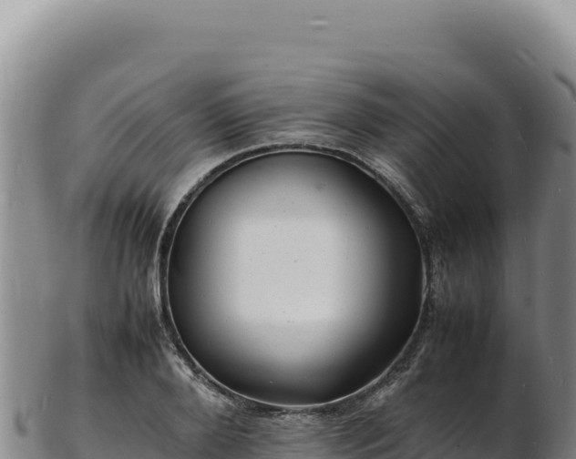 X0000103250888200809041106