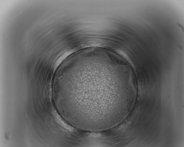 X0000103250890200809041106