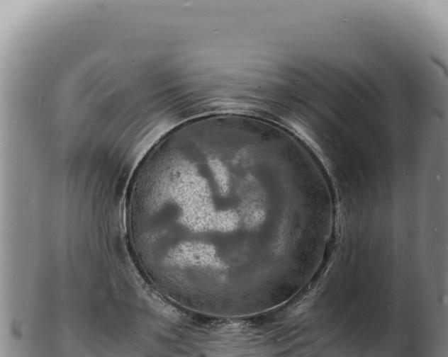 X0000103250891200809041106
