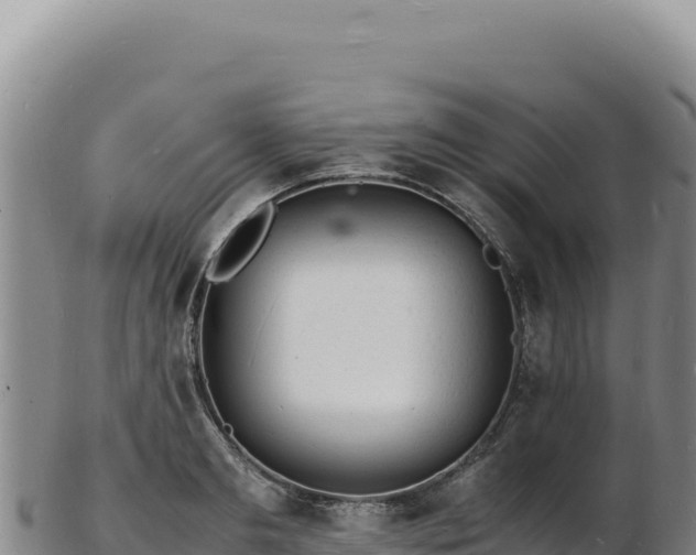 X0000103250893200809041106