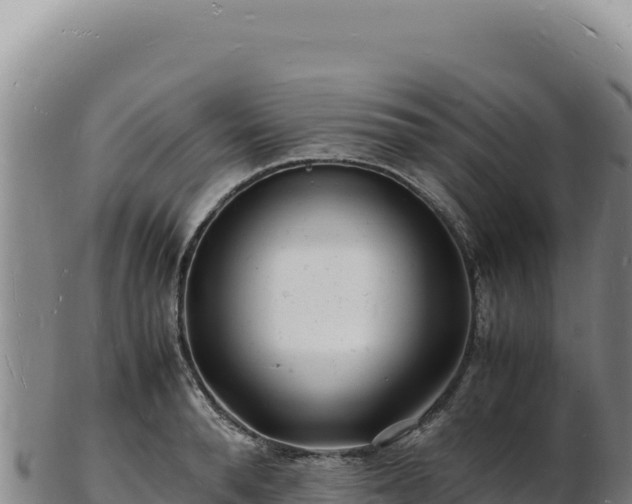 X0000103250896200809041106