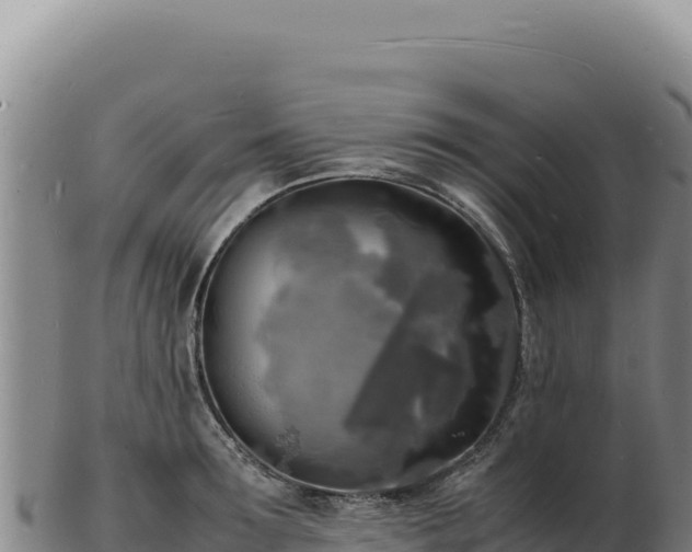 X0000103250899200809041106