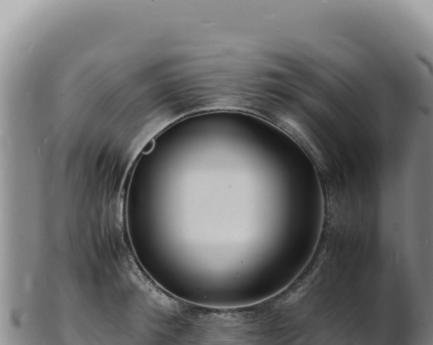 X0000103250900200809041106