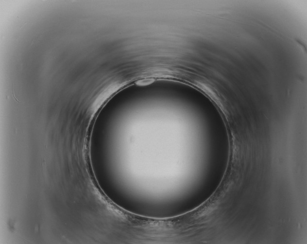 X0000103250901200809041106