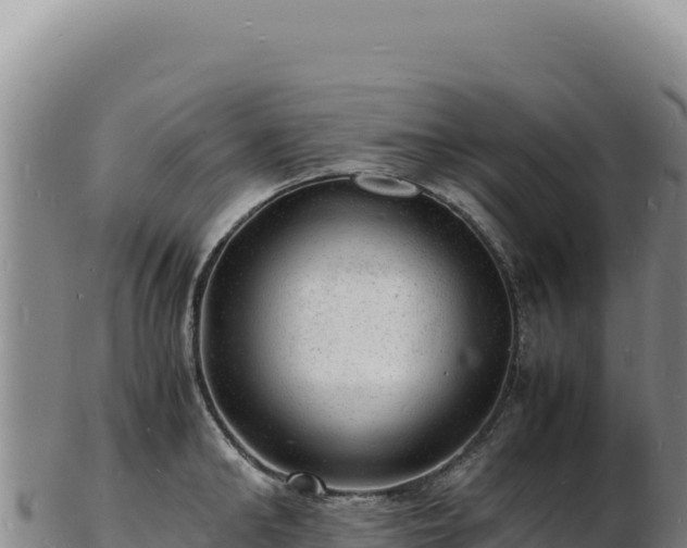 X0000103250902200809041106