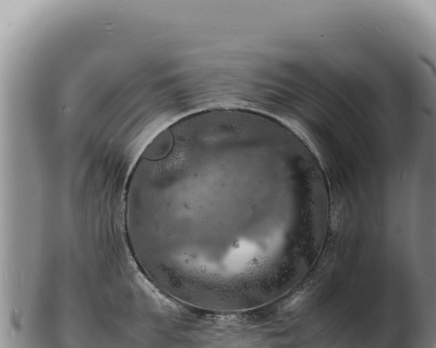 X0000103250903200809041106