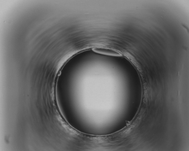 X0000103250904200809041106
