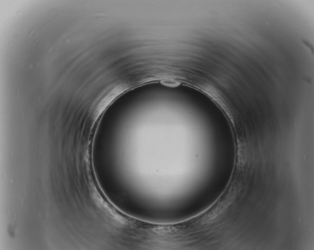 X0000103250906200809041106
