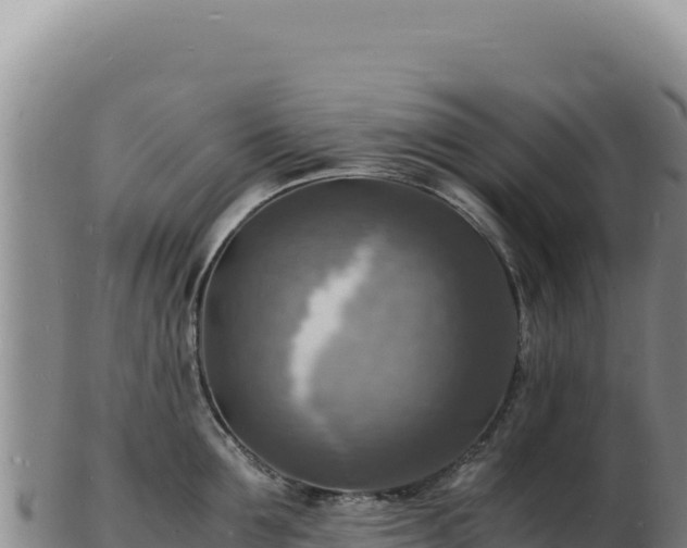 X0000103250907200809041106