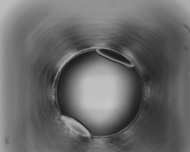 X0000103250908200809041106