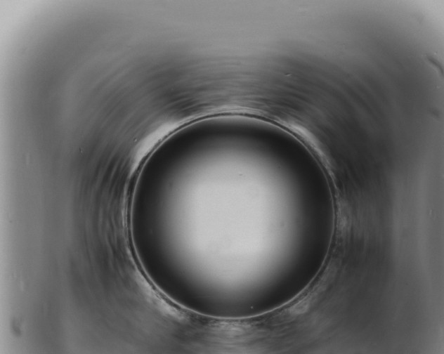 X0000103250910200809041106