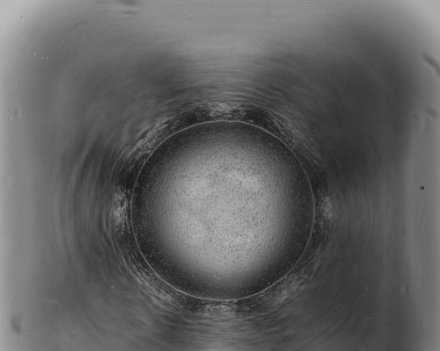 X0000103250914200809041105
