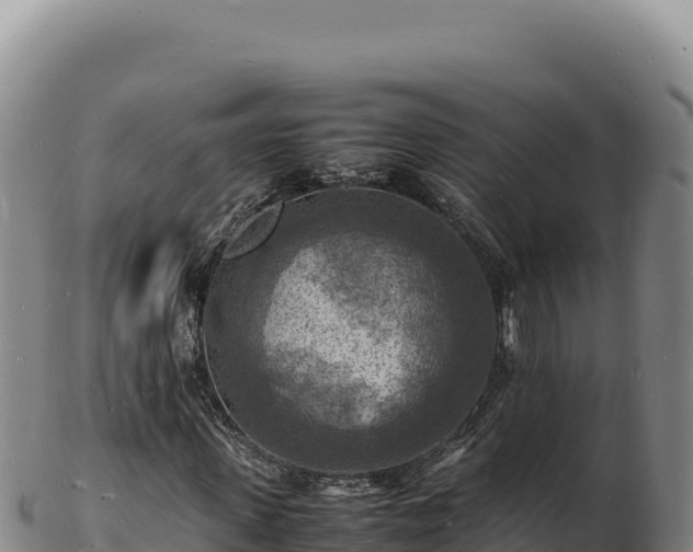 X0000103250915200809041105