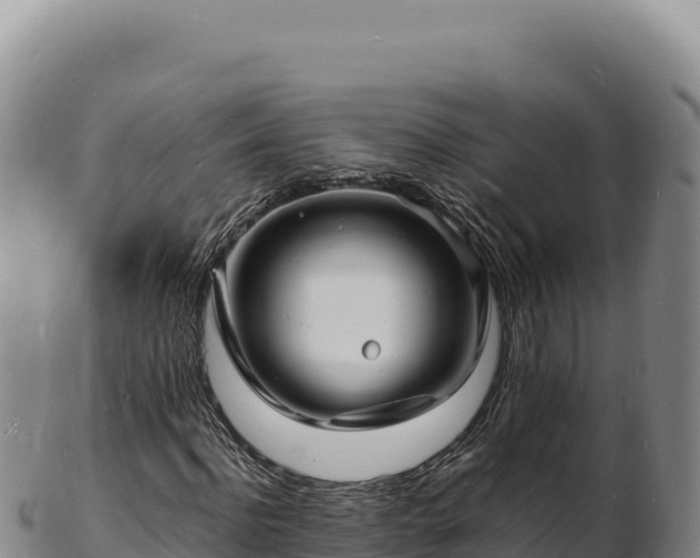 X0000103250916200809041105