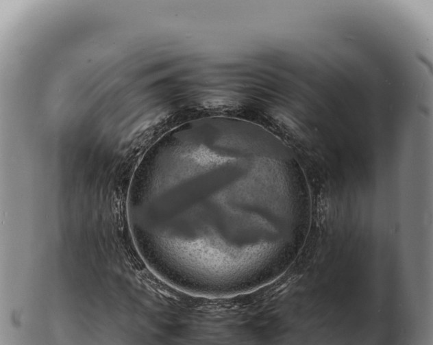 X0000103250917200809041105