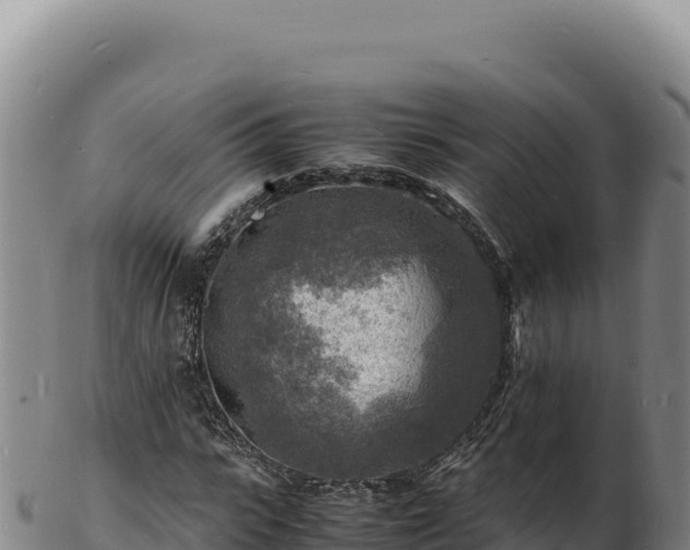 X0000103250919200809041105