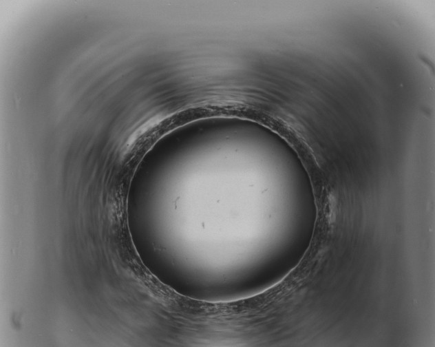 X0000103250920200809041105