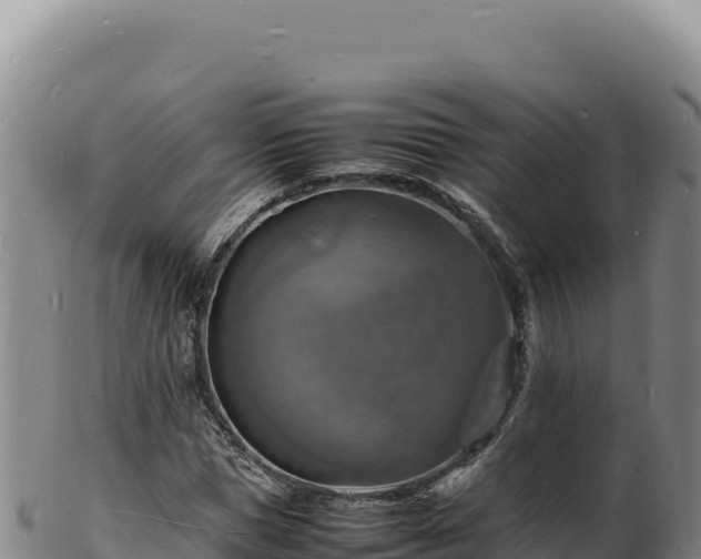 X0000103250921200809041105