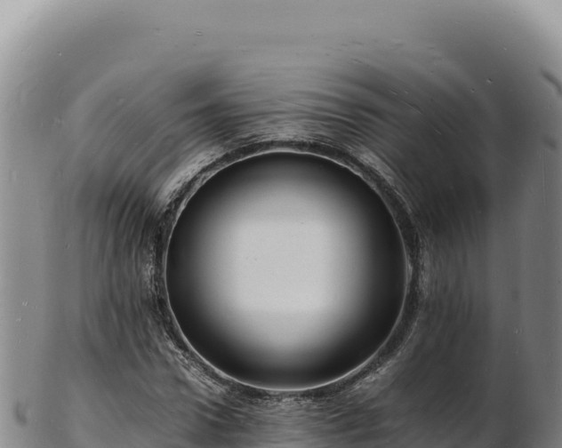 X0000103250922200809041105