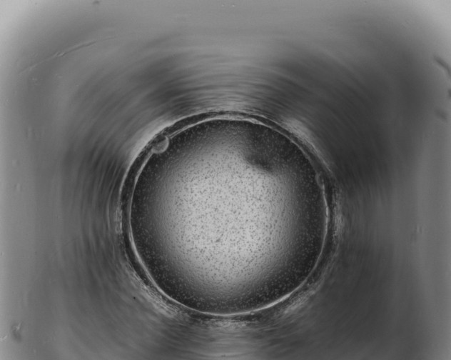 X0000103250924200809041105