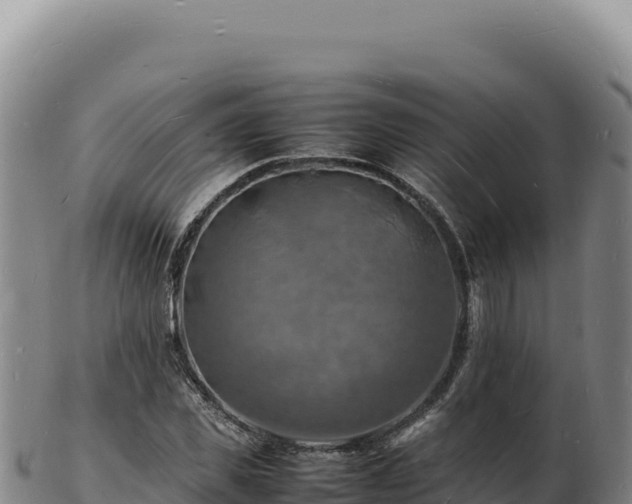 X0000103250925200809041105