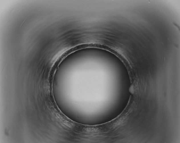 X0000103250927200809041106
