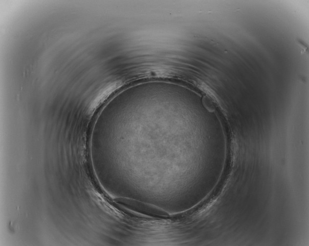 X0000103250930200809041106
