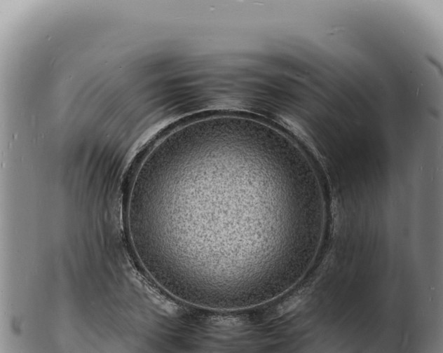 X0000103250931200809041106