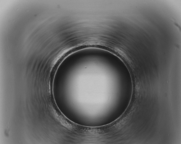 X0000103250934200809041106