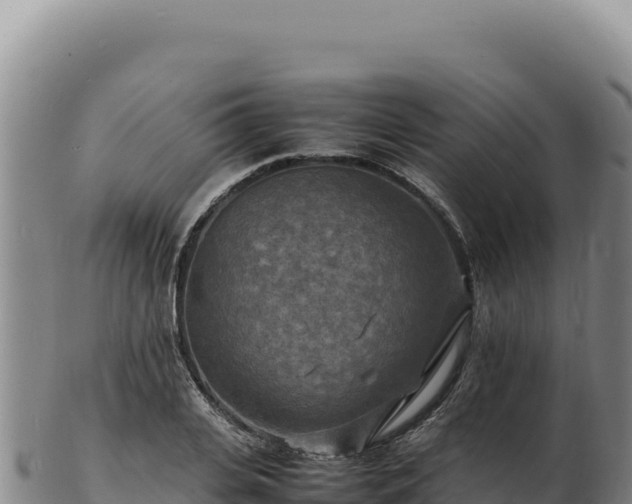 X0000103250935200809041106