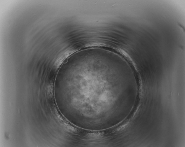 X0000103250937200809041106