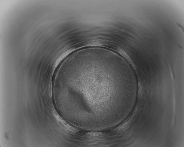 X0000103250939200809041106