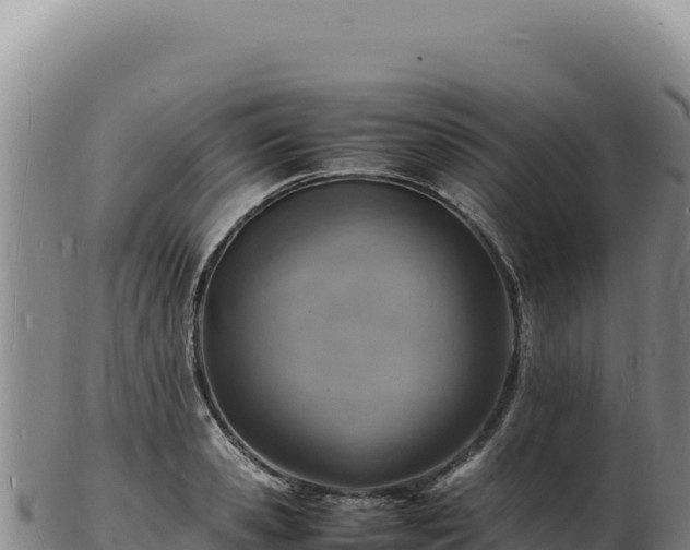 X0000103250941200809041106