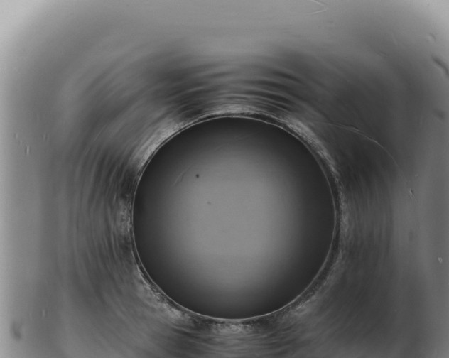 X0000103250945200809041106