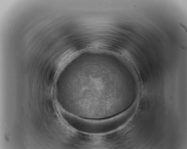 X0000103250946200809041106