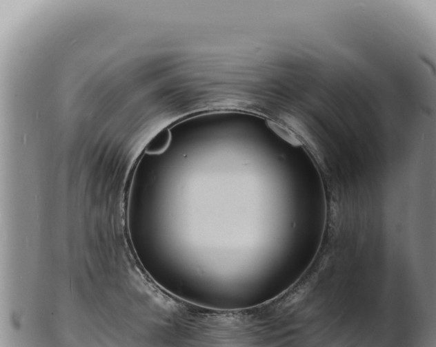 X0000103250948200809041106