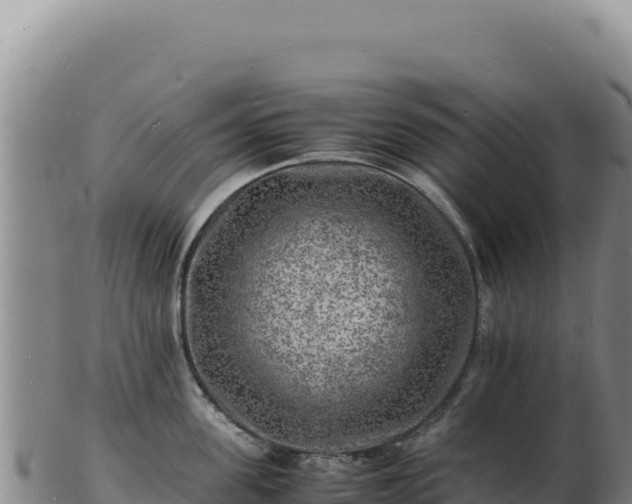 X0000103250955200809041106
