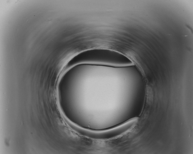 X0000103250956200809041106