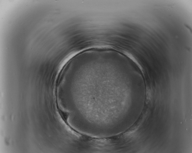 X0000103250959200809041106