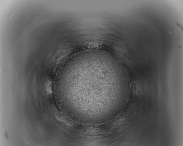 X0000103250962200809041105