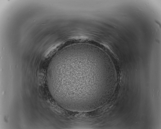 X0000103250967200809041105
