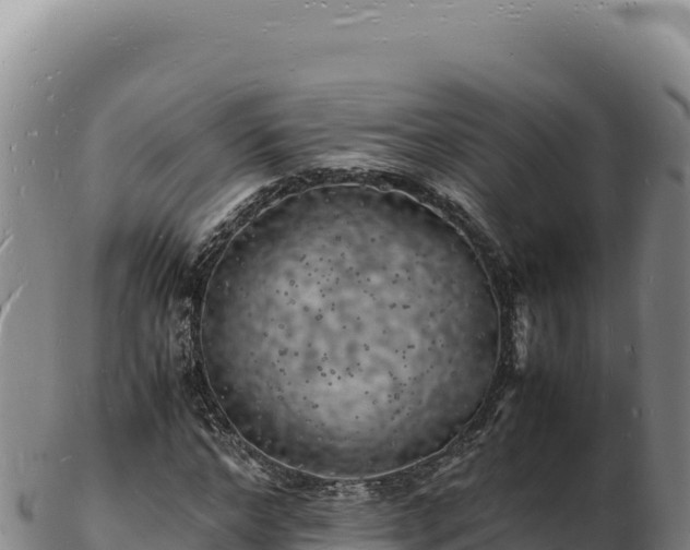 X0000103250968200809041105