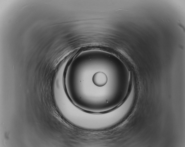 X0000103250969200809041105