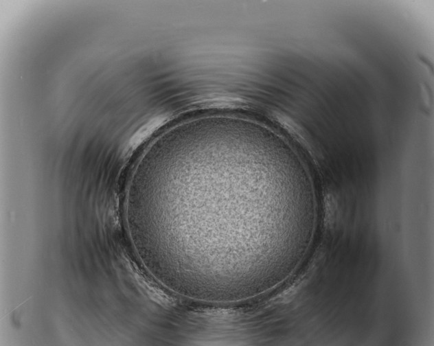 X0000103250970200809041105