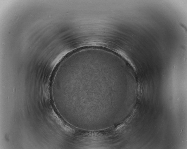 X0000103250972200809041105