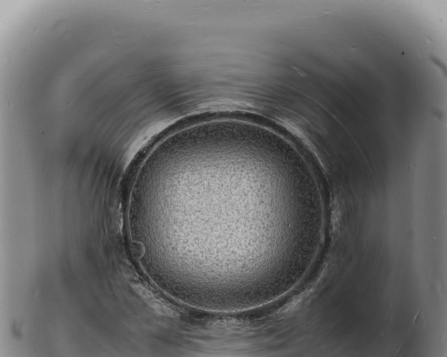 X0000103250973200809041105