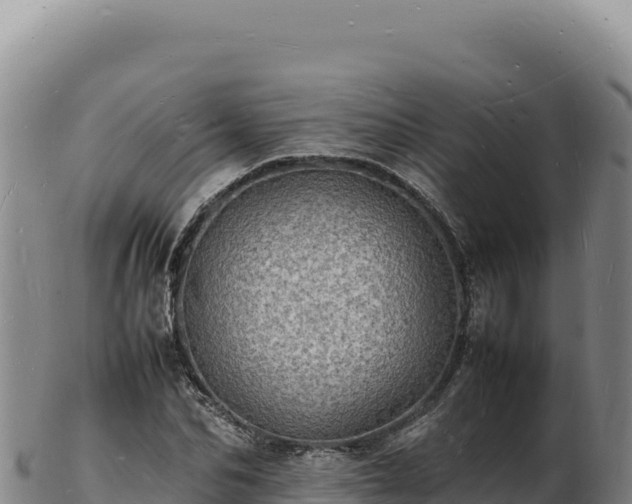 X0000103250974200809041105
