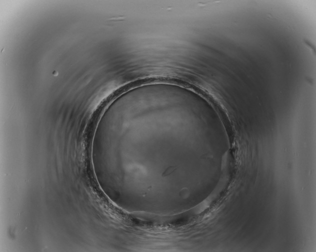 X0000103250975200809041105
