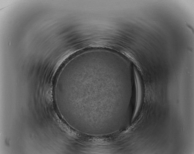 X0000103250976200809041105