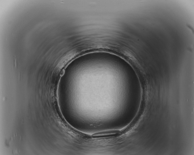 X0000103250977200809041105